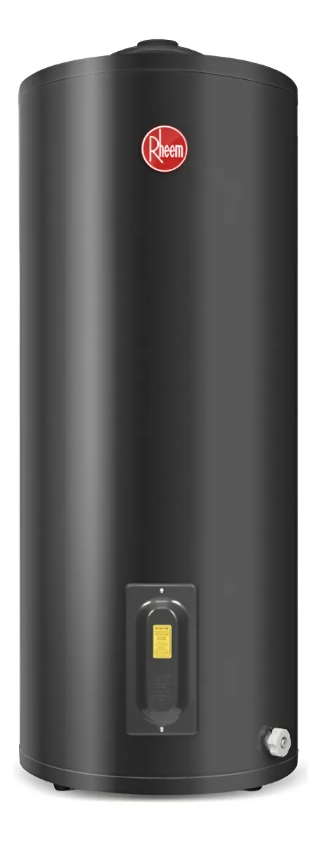 Termotanque eléctrico Rheem Functional TEPC125ERHK2 blanco 125 litros